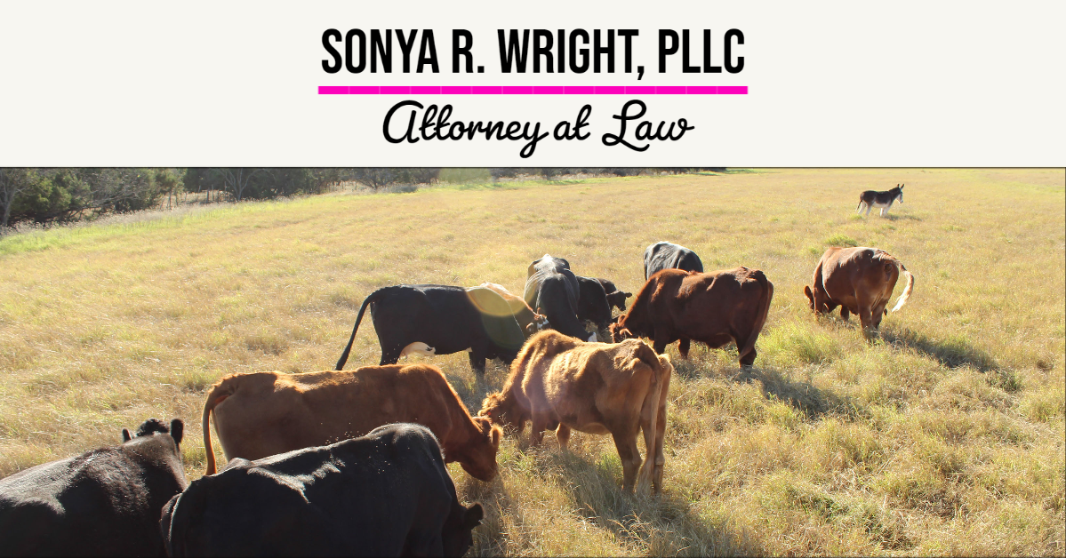 Sonya R. Wright, PLLC Logo